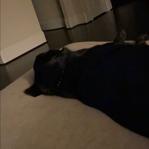 Meet your Posher, Roman